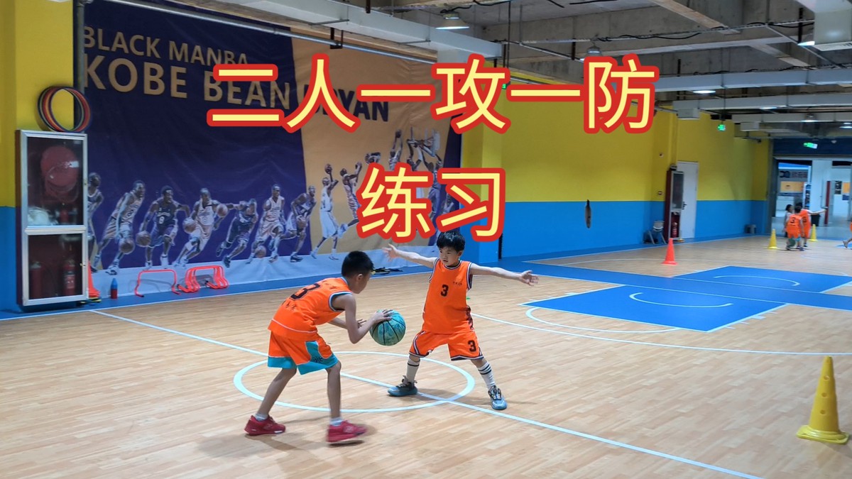 篮球基本技术训练视频下载